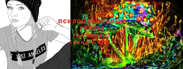 прущий лед Дмитров