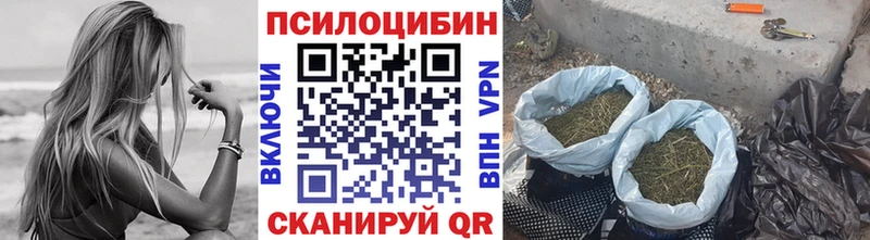 Купить  Искитим  Псилоцибиновые грибы MAGIC MUSHROOMS 