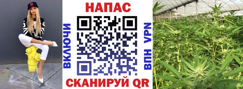 Бошки Шишки Ganja Купить Искитим